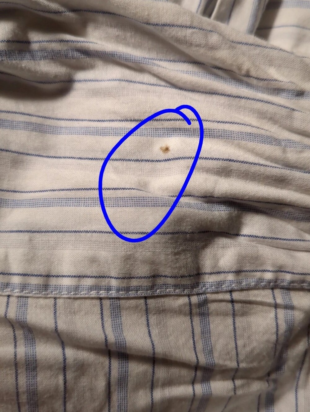 American Eagle Outfitters Size Large White with Blue Stripes - Picture 5 of 5